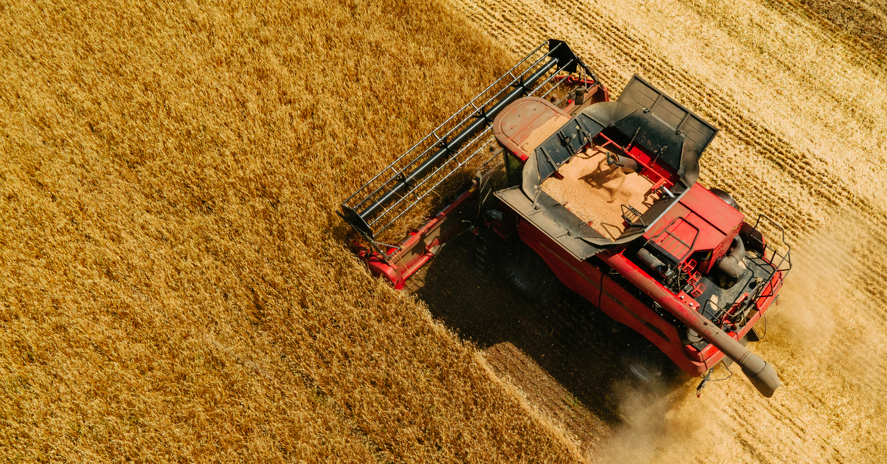 Agribusiness Growth Background